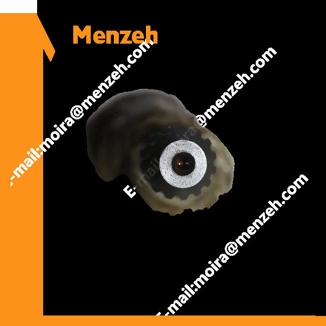 2022128 2028644 Hộp số Du lịch 1st Sun Gear 2025958 0462305 8970443720 EX100 EX200-2 Bộ phận bánh răng hành tinh